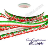 Christmas Santa Hats