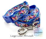 Rainbow Swirls on Blue, Collar & 5ft Leash Set