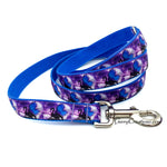 Z Dragon Collars & Leash