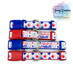 Patriotic All American Furball Dog collars & leashes