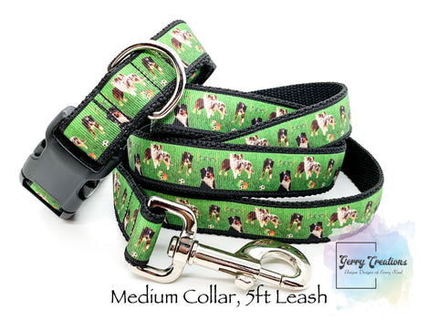 Australian Shepherds Collar & 5ft Leash Set