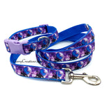 Z Dragon Collars & Leash