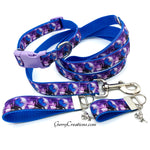 Z Dragon Collars & Leash