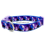 Z Dragon Collars & Leash